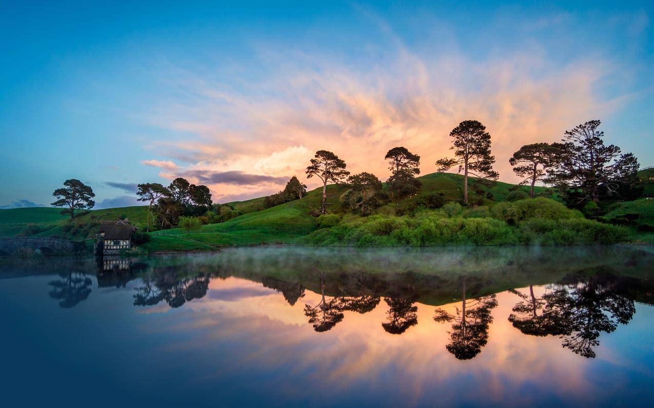 NewZealand,风景,Hobbiton,日落,水,树木,反射,丘陵,绵羊,早晨,日出,草