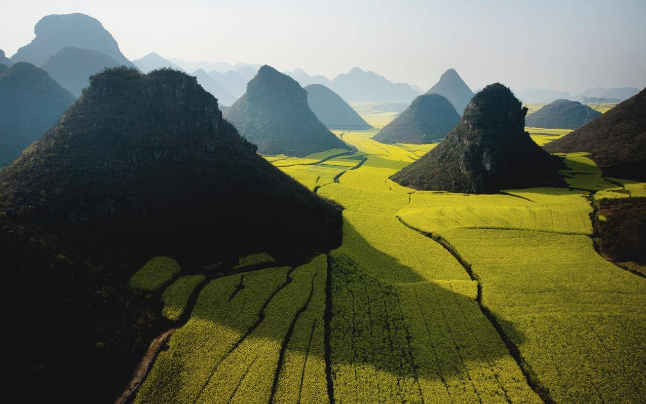 山水,油菜,丘陵,自然,中国,雾霭,阳光