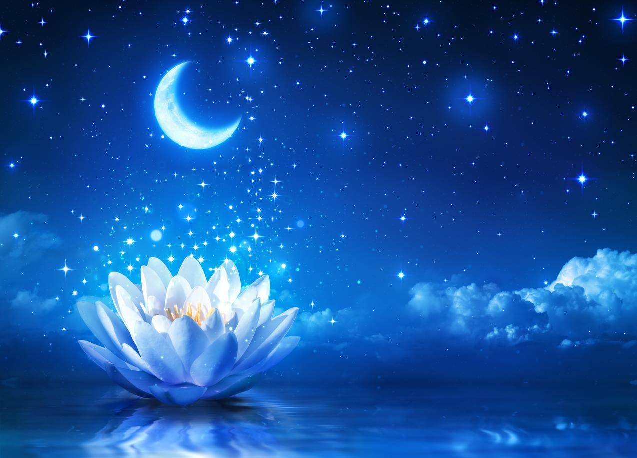 Moon,天空,夜晚,莲花,星星