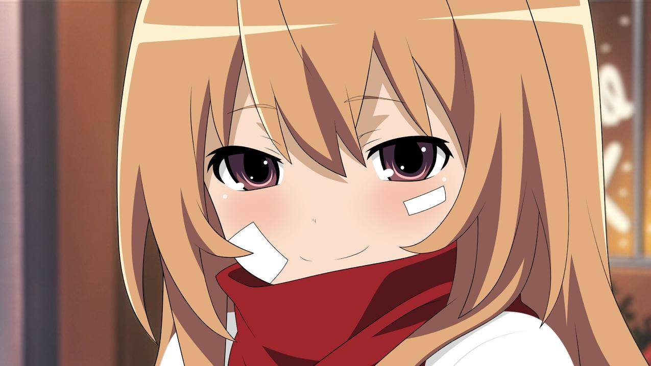 漫画,动漫,Toradora,AisakaTaiga