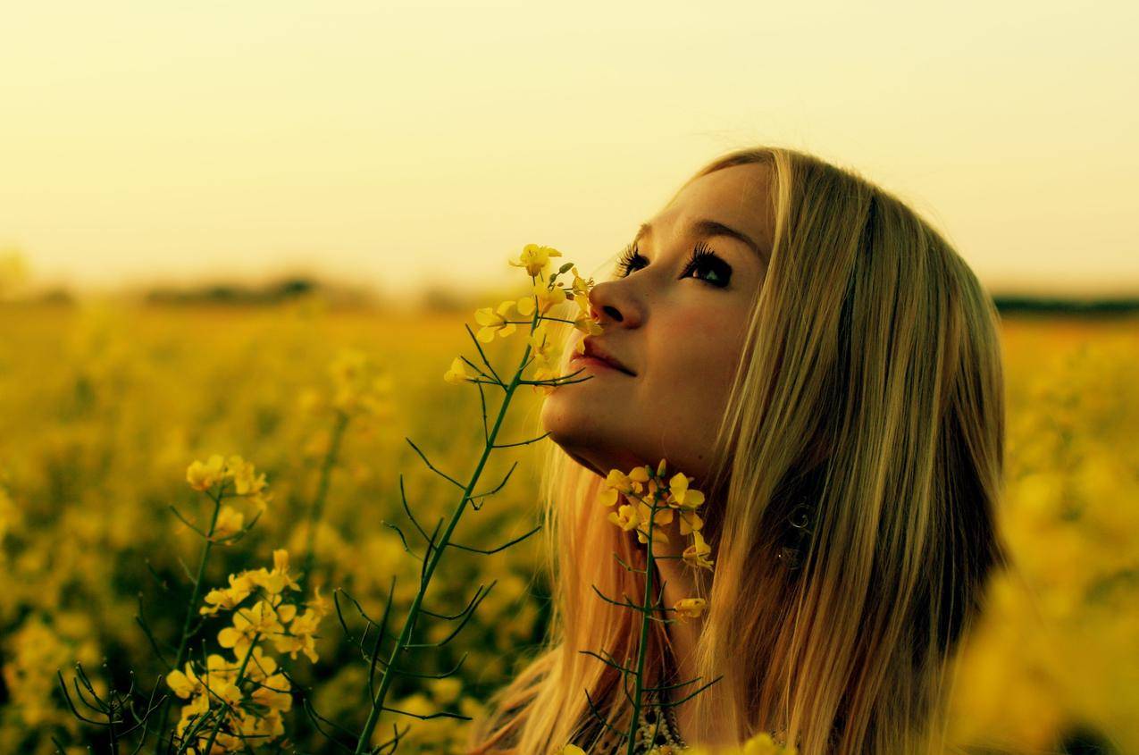 女人在户外,金发碧眼,仰望,女人,脸,油菜,黄花,花