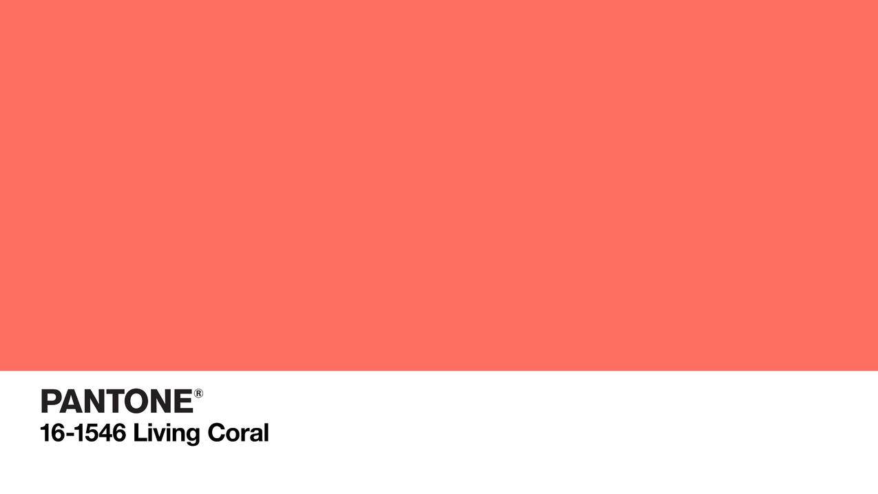 色彩鲜艳,粉红,珊瑚,标志,的SolidColor,colorcodes,极简主义