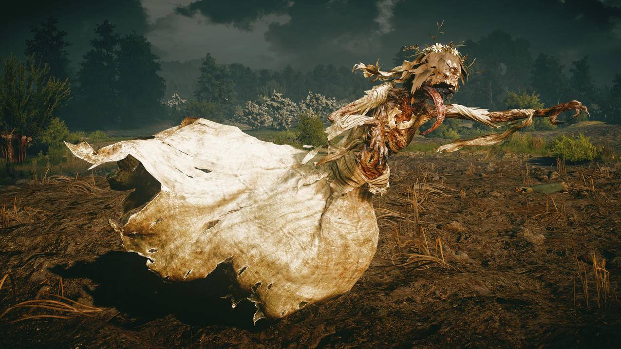 截图,TheWitcher,TheWitcher3：WildHunt,noonwraith