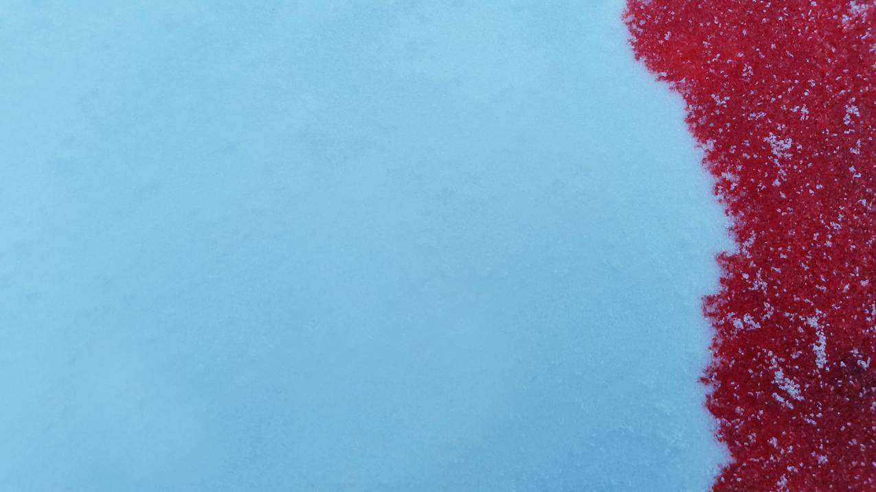 雪,战争,冬天,血,简单