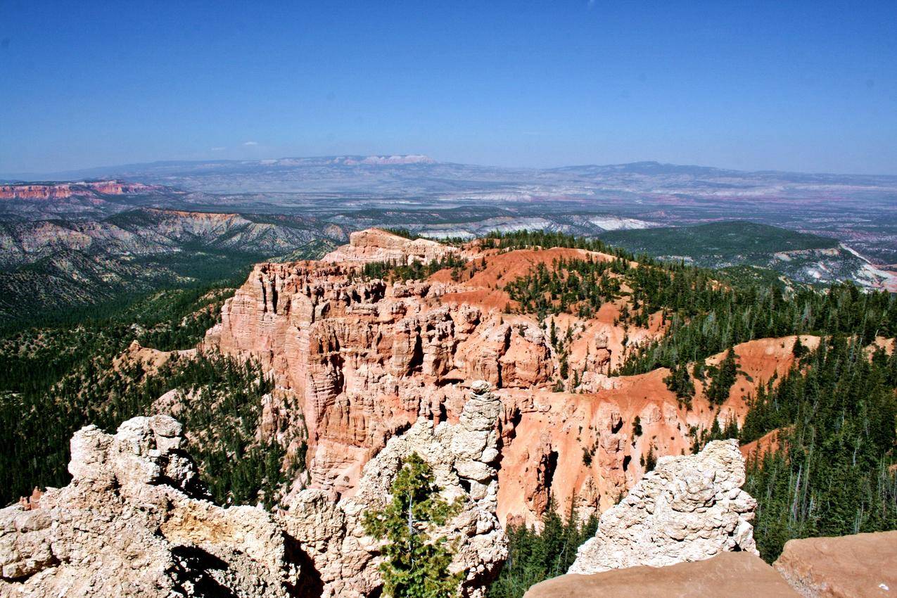 峡谷,地平线,自然,景观,森林,美国