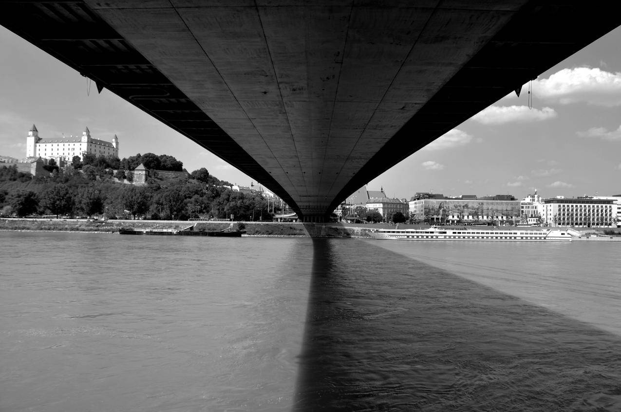 单色,桥梁,河流,城堡,斯洛伐克,布拉迪斯拉发,建筑,船,影,建筑,树,Donau