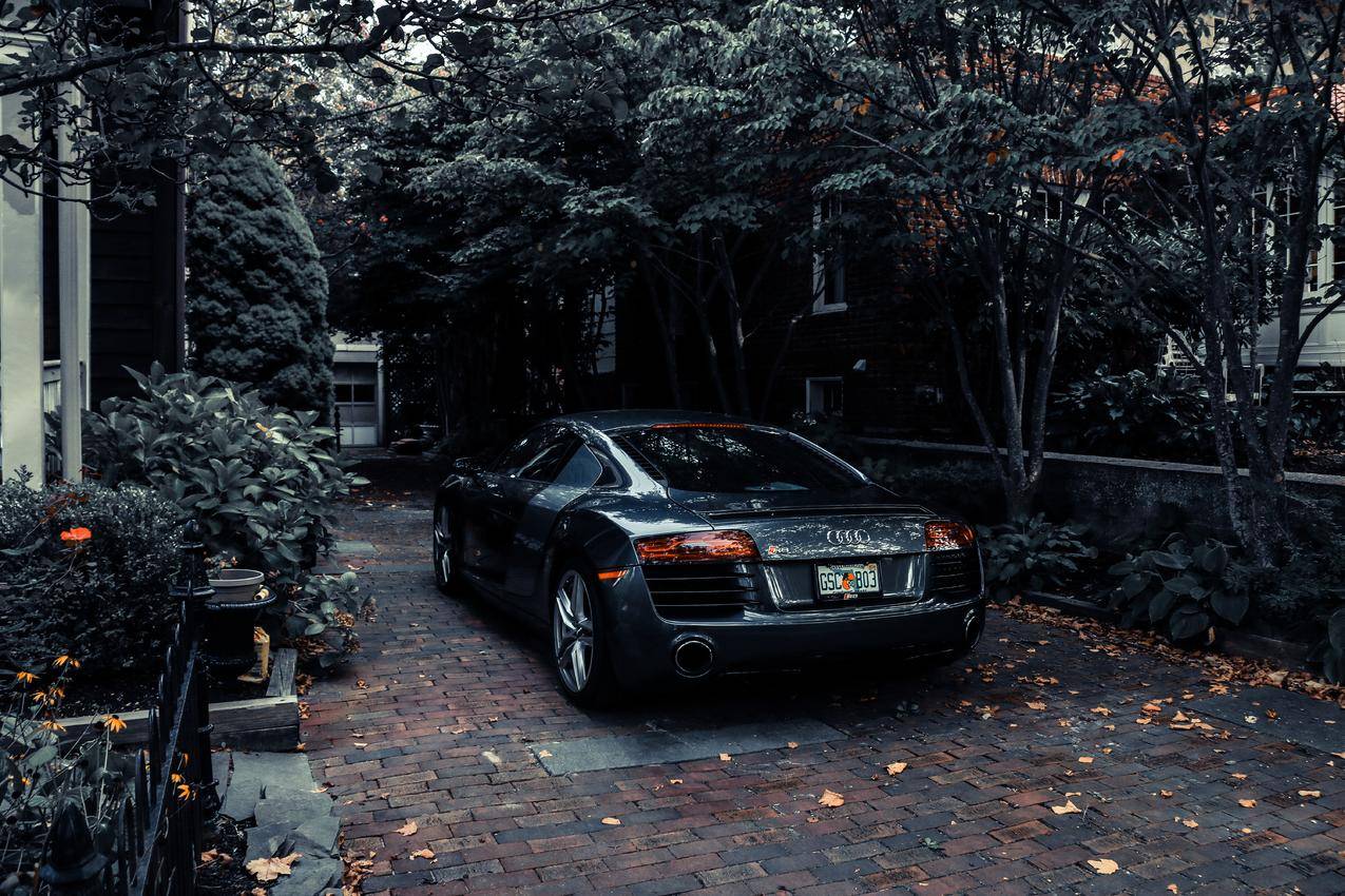 汽车,奥迪,R8