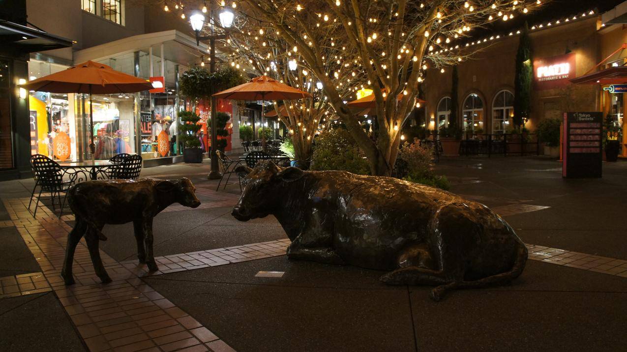 西雅图,夜晚,雕塑,灯光
