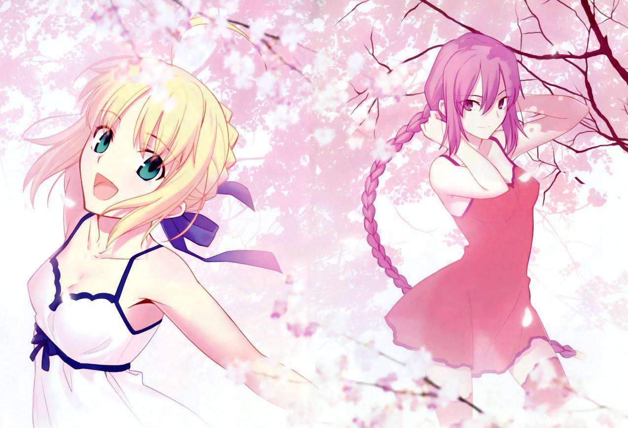 命运,Saber
