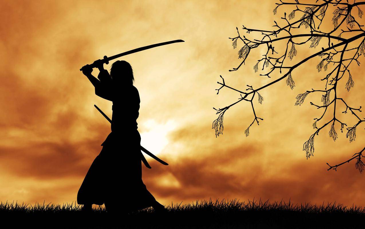 武士,Japaneseclothes,武士刀,剪影,树,树枝,草,云,太阳,数字艺术,剑