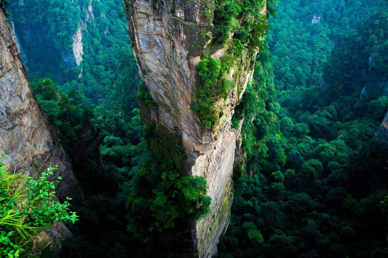 森林,中国,悬崖,山脉,绿色,夏季,国家公园,自然,景观,空中景观