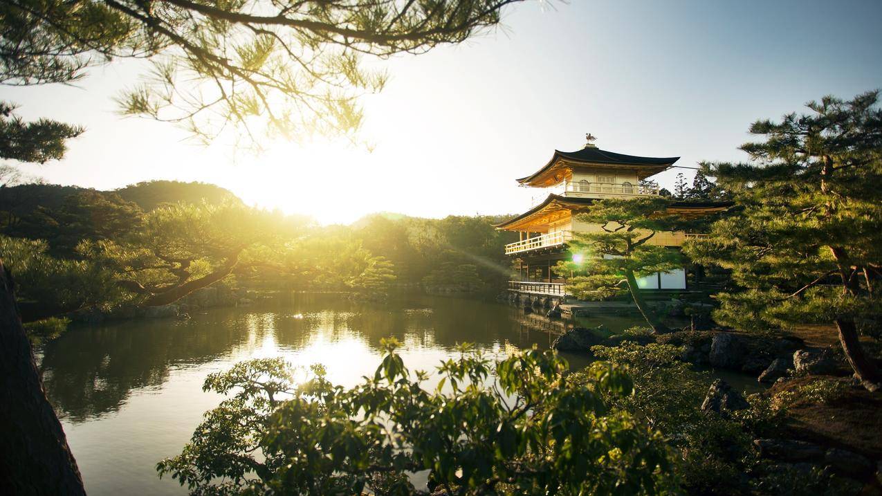 日本,寺庙,阳光,树木,风景