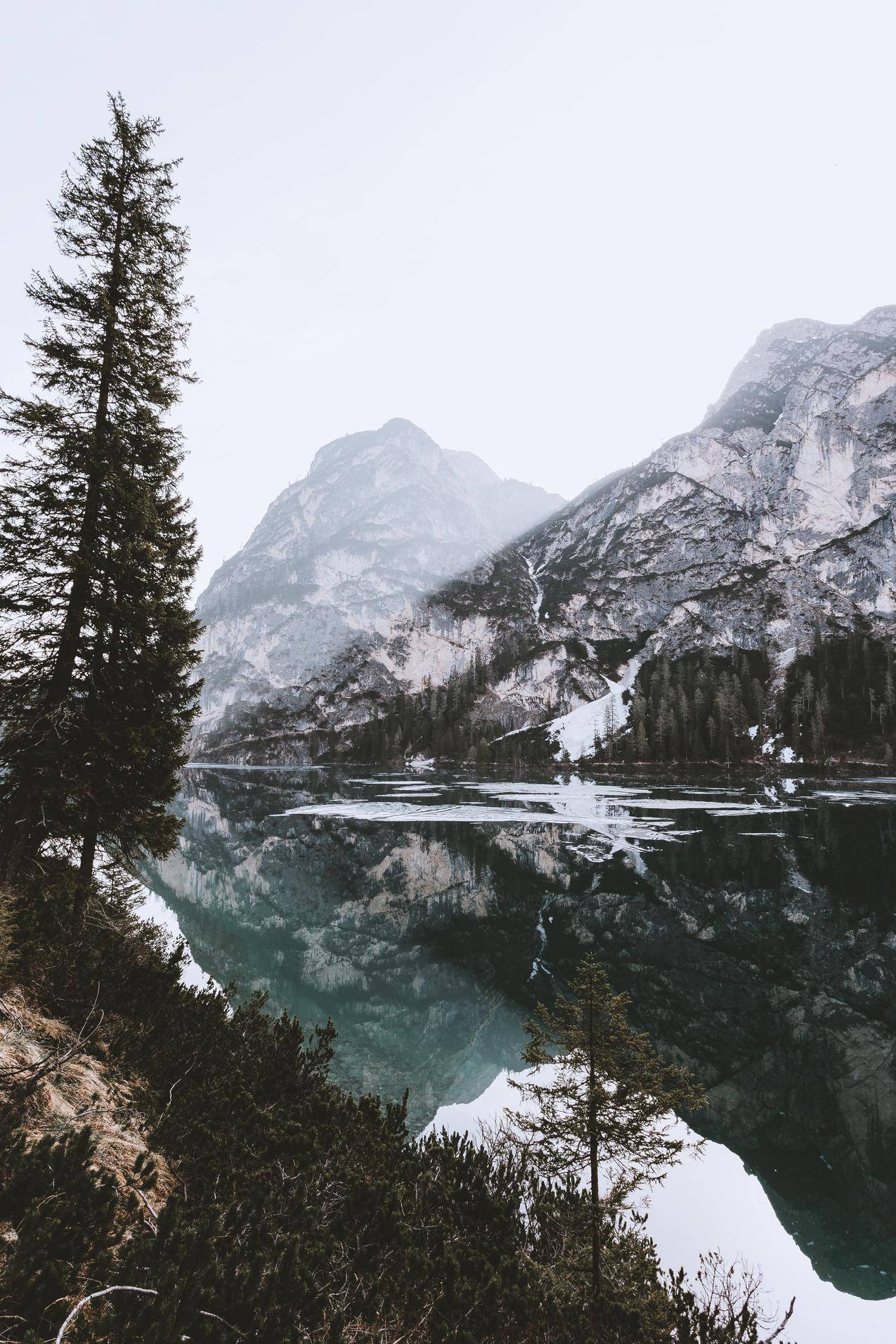 自然,水,雪,山,树