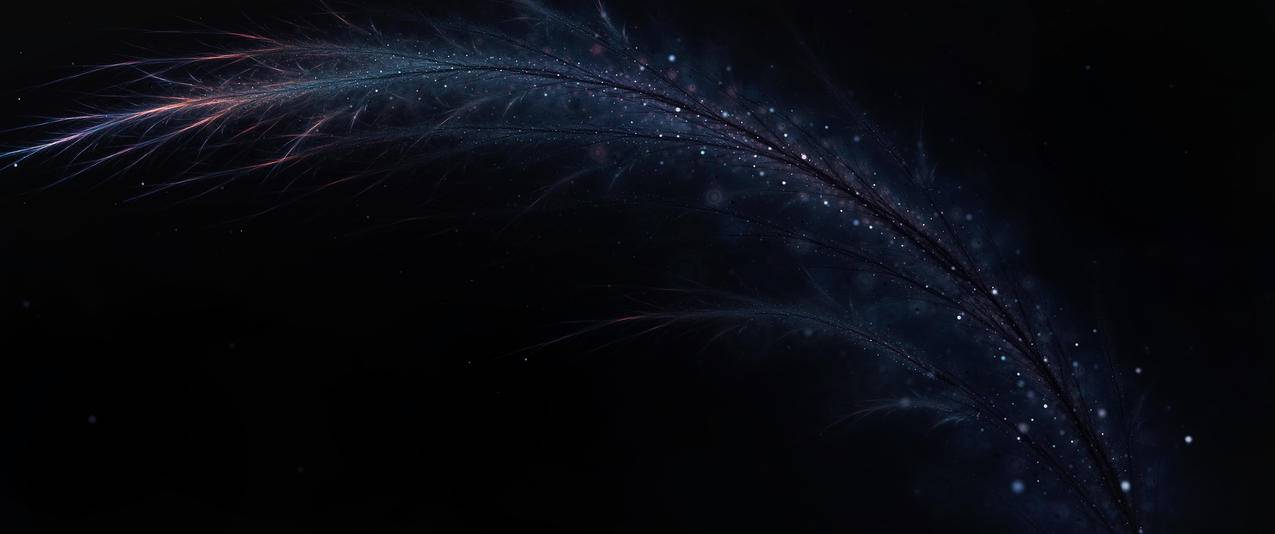 羽毛,blackbackground,黑暗,digitalart