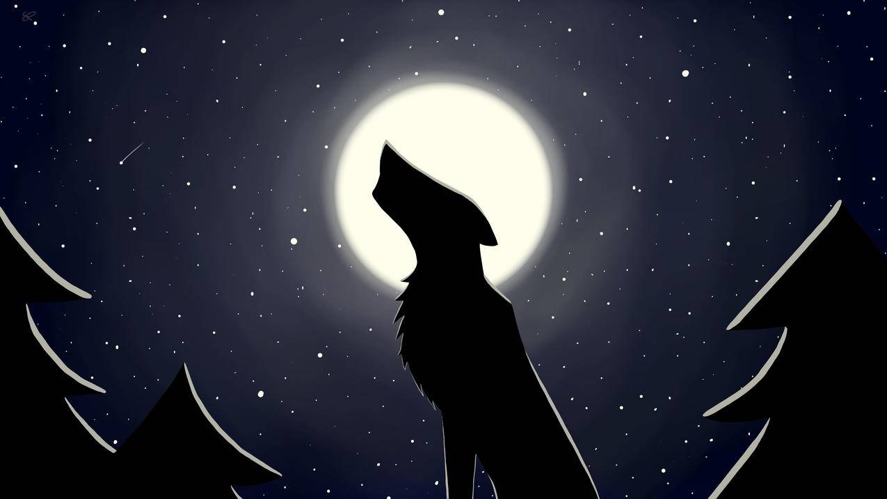 Moon,狼,夜晚,星星