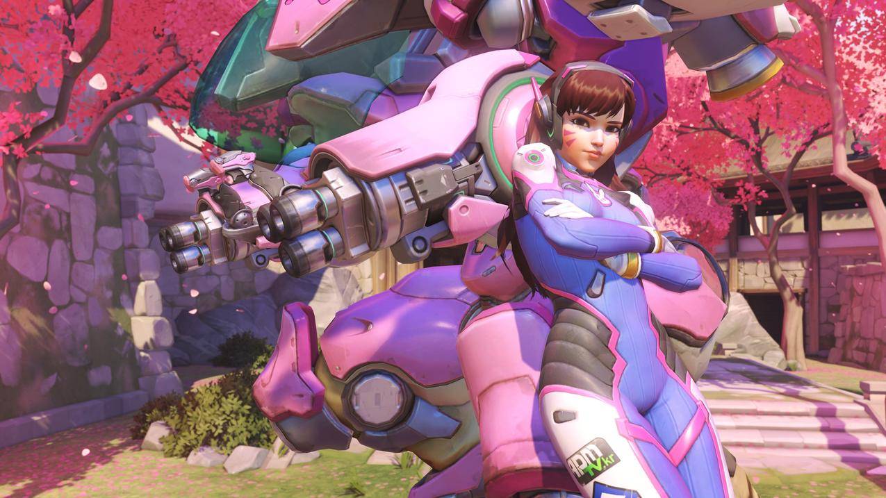 DVa,监视,监视,视频游戏