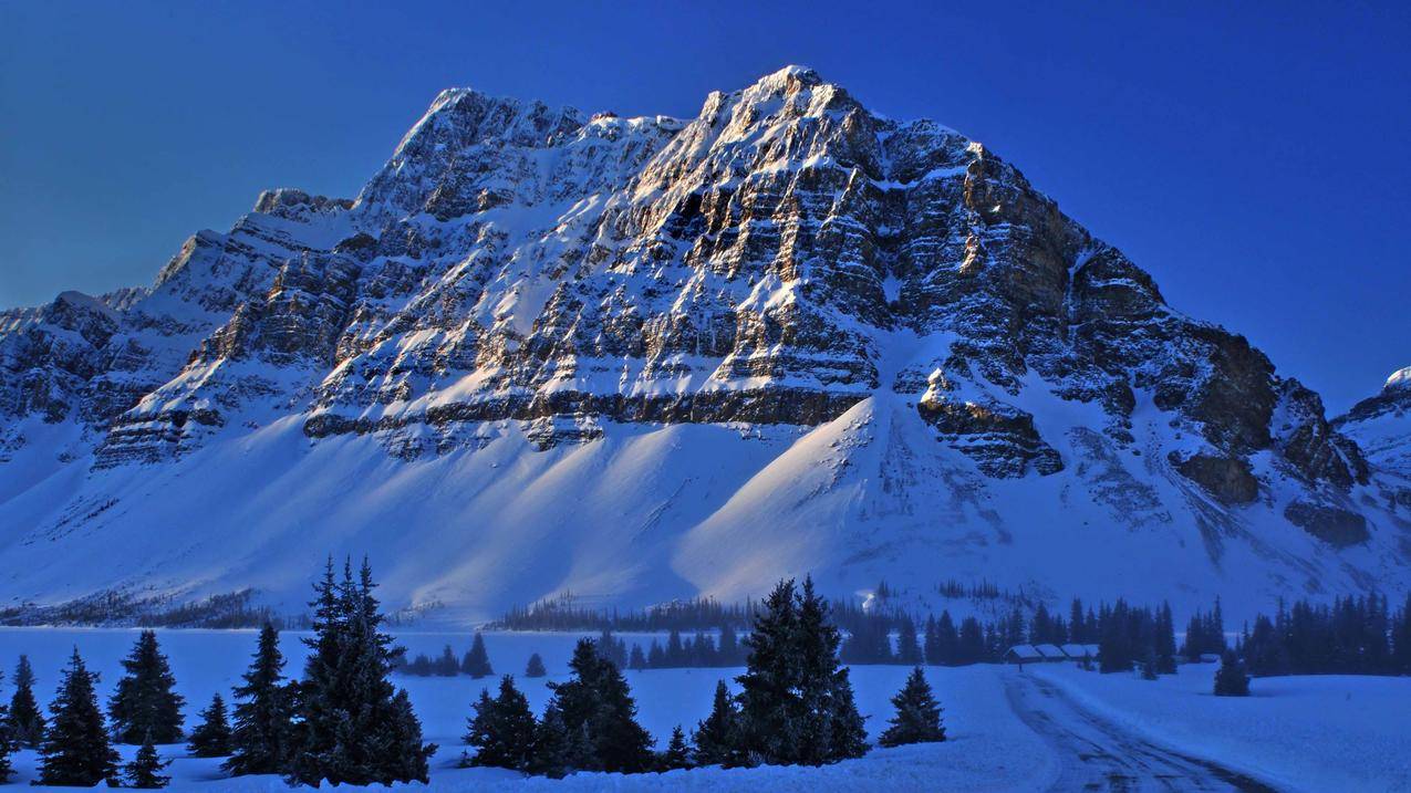山,自然,景观,树木,雪,加拿大,RockyMountains