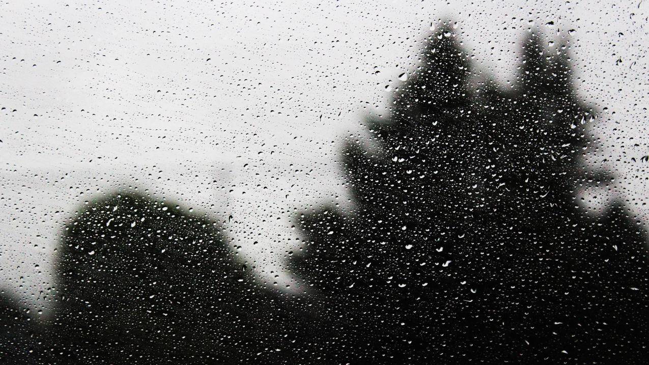 水,水滴,水玻璃,玻璃,窗户,风景