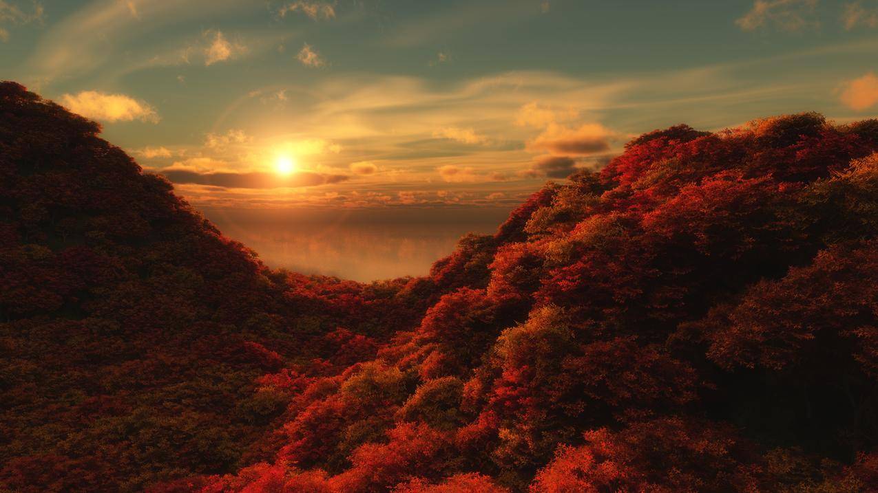 秋天,风景,太阳,天空,树木,云彩,自然,森林,山丘