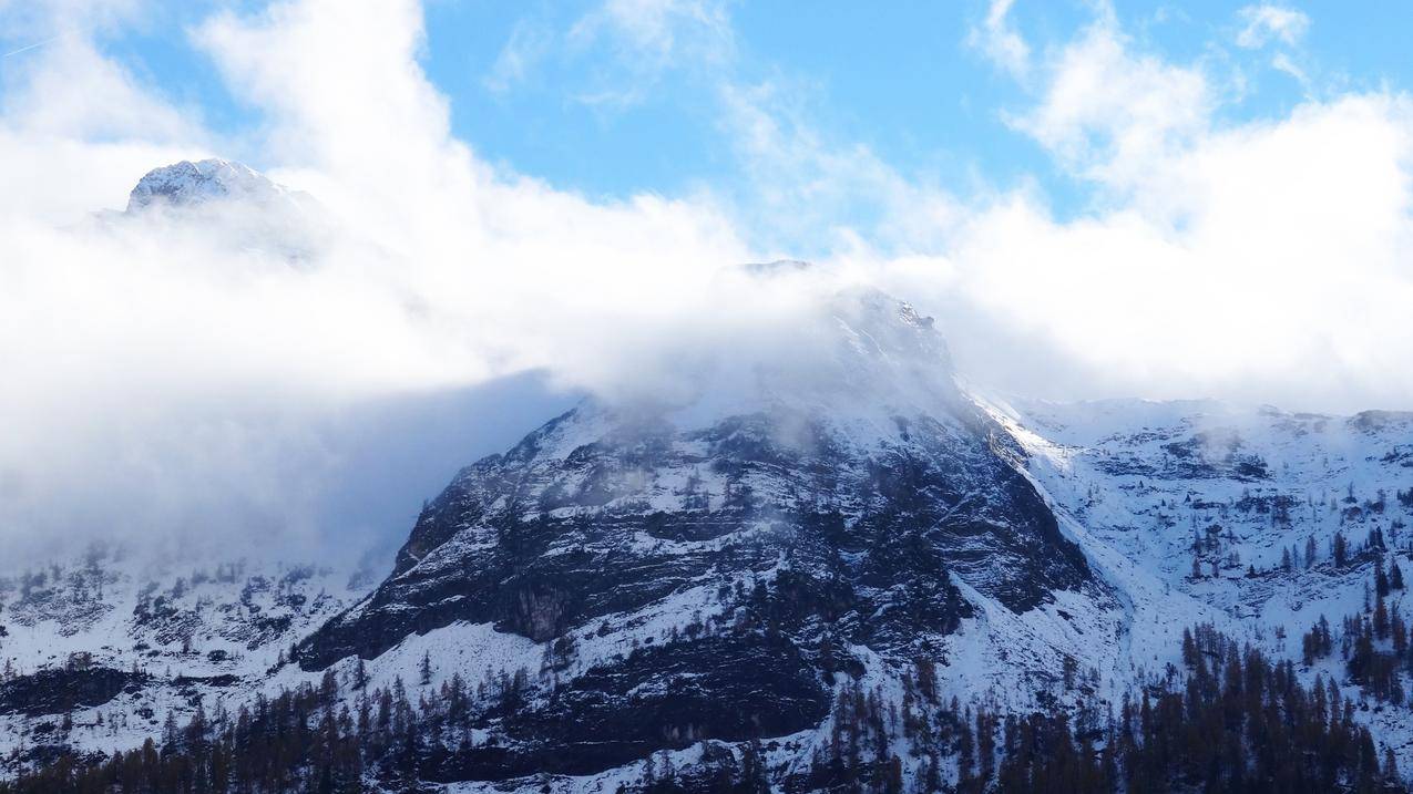 山,森林,雪,岩石