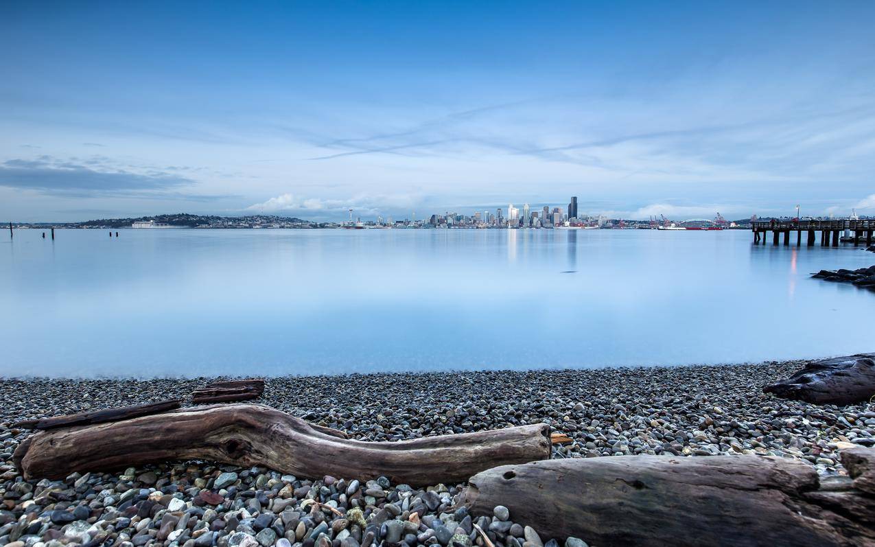 海岸,浮木,卵石,平静,水,湖,西雅图