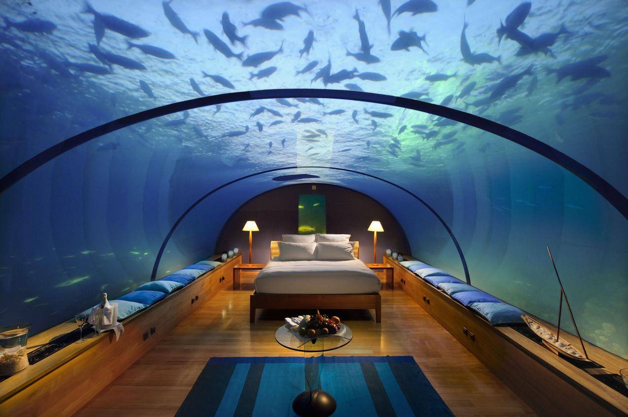 卧室,水下,鱼,水族馆,酒店