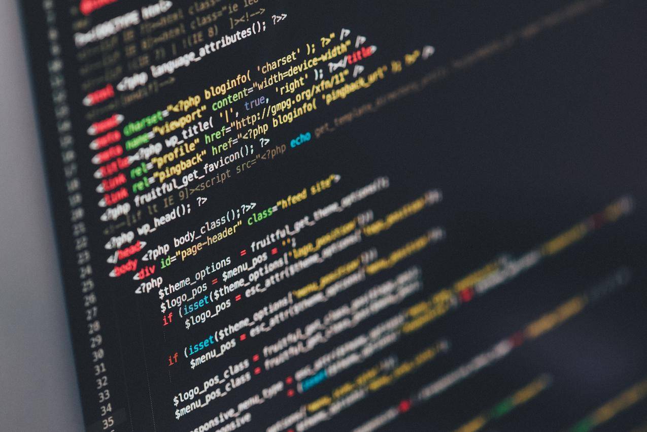 IlyaPavlov,程序员,代码,PHP,HTML,WordPress,计算机,技术,网络开发,文本,工作