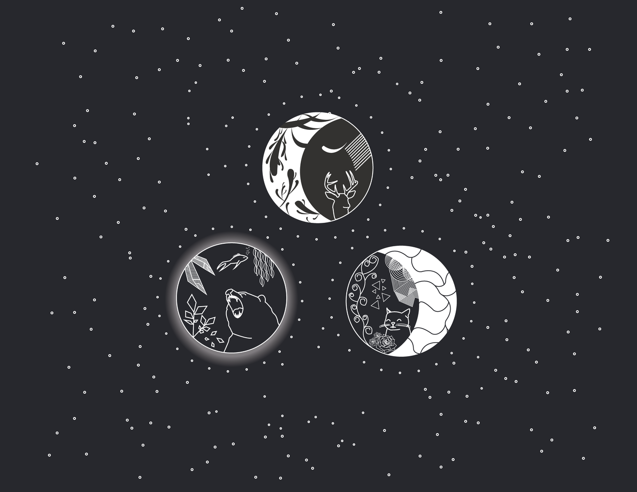 月亮,cateyes,熊,鹿,明星,抽象,鱼,线条,图案,玫瑰,moonrays,鲜花