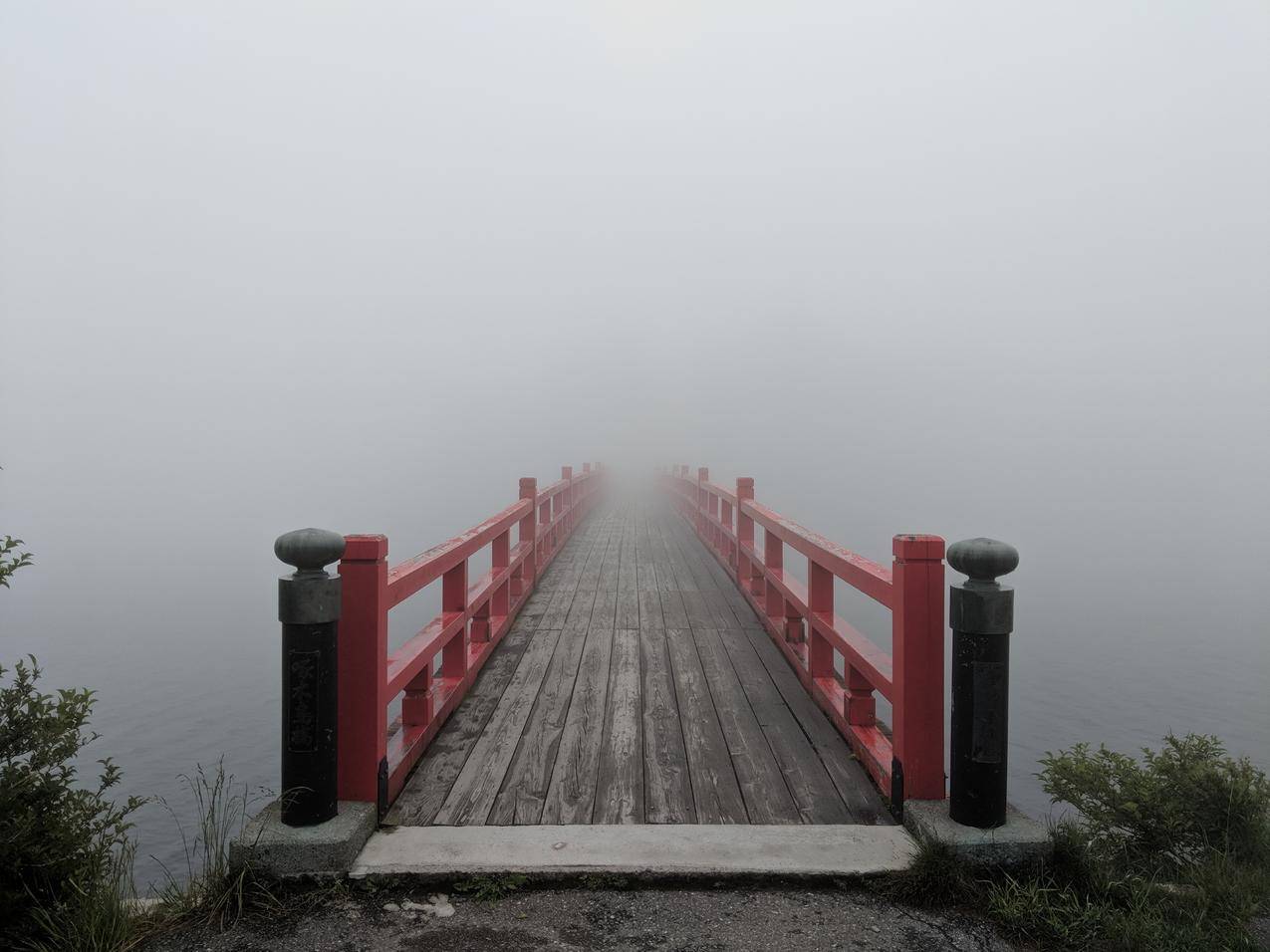 自然,桥梁,雾霭,风景