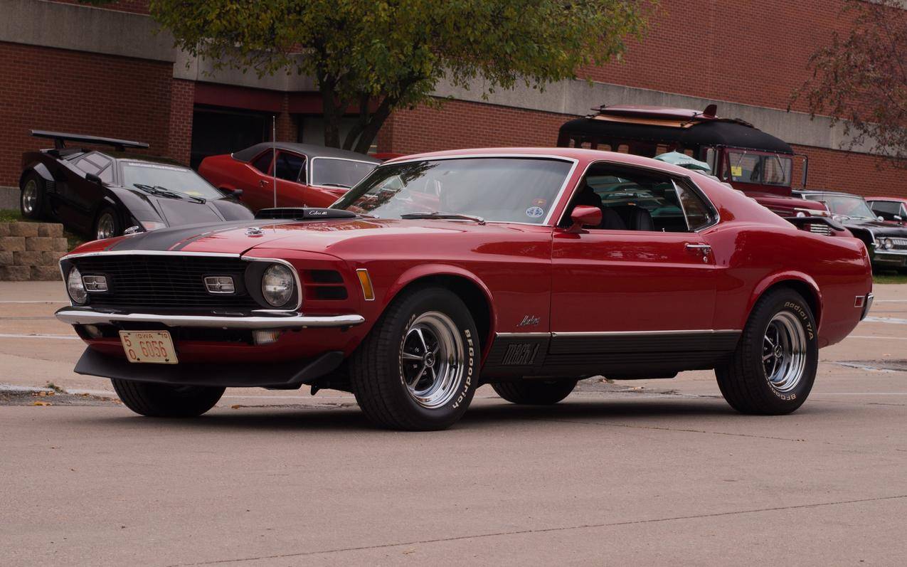 FordMustang,肌肉发达,肌肉发达