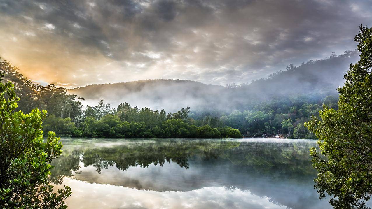 湖泊,反射,树木,薄雾,HDR,云