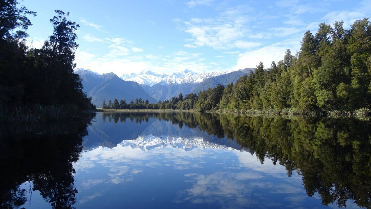 风景,湖泊,雪峰,NewZealand,拉克梅森,福克斯冰川,树木