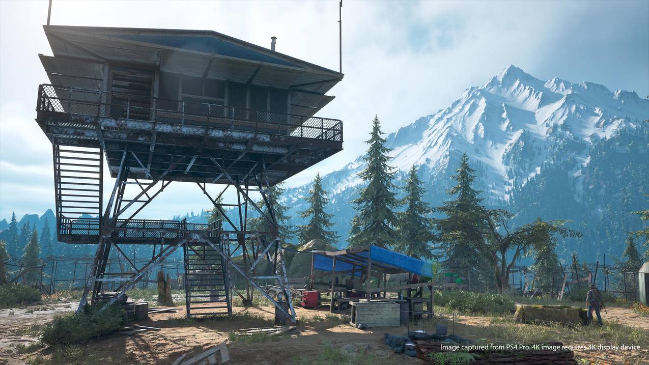 DaysGone,视频游戏