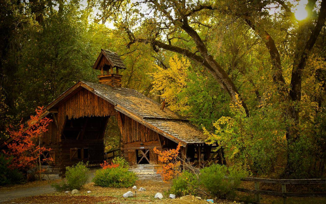 自然,摄影,风景,谷仓,小屋,森林,篱笆,秋天,灌木丛,树木