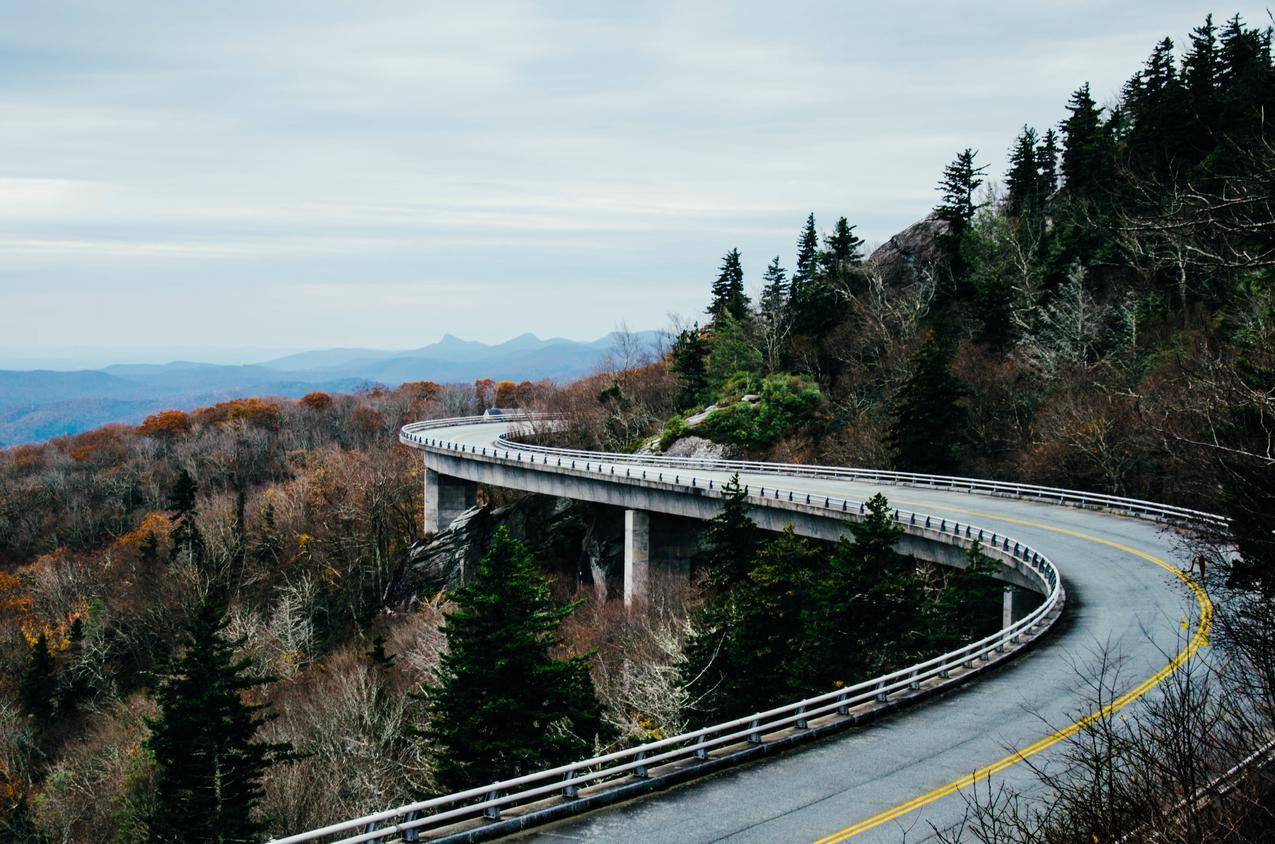 道路,树木,景观,北卡罗来纳州,林肯维埃多,美国