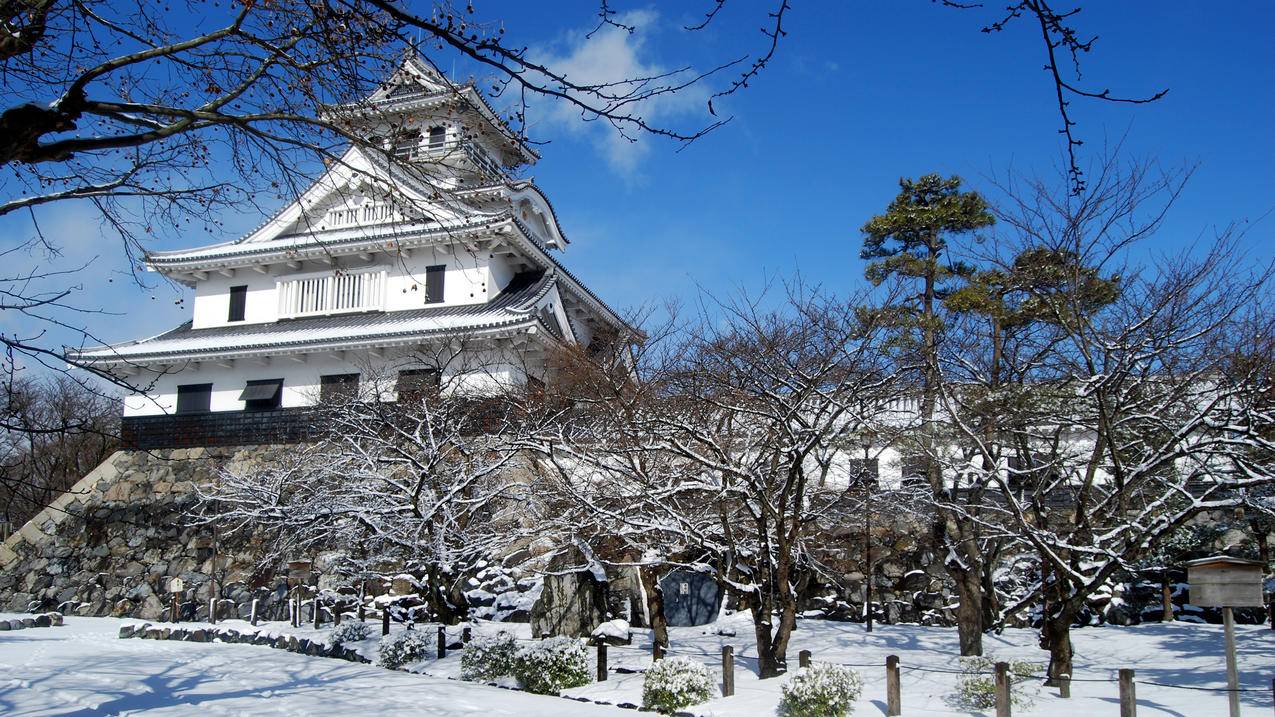 日本,冬天,雪,寺庙