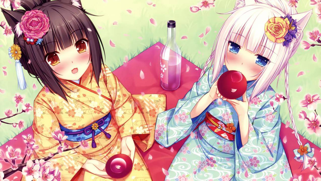 猫咪,巧克力,Nekopa,动漫,NekoWrk,动物,NekOMimi,PICKNICK,Chely鲜花,Nekopa,Vanilla,Nekopa,动漫,花蕾