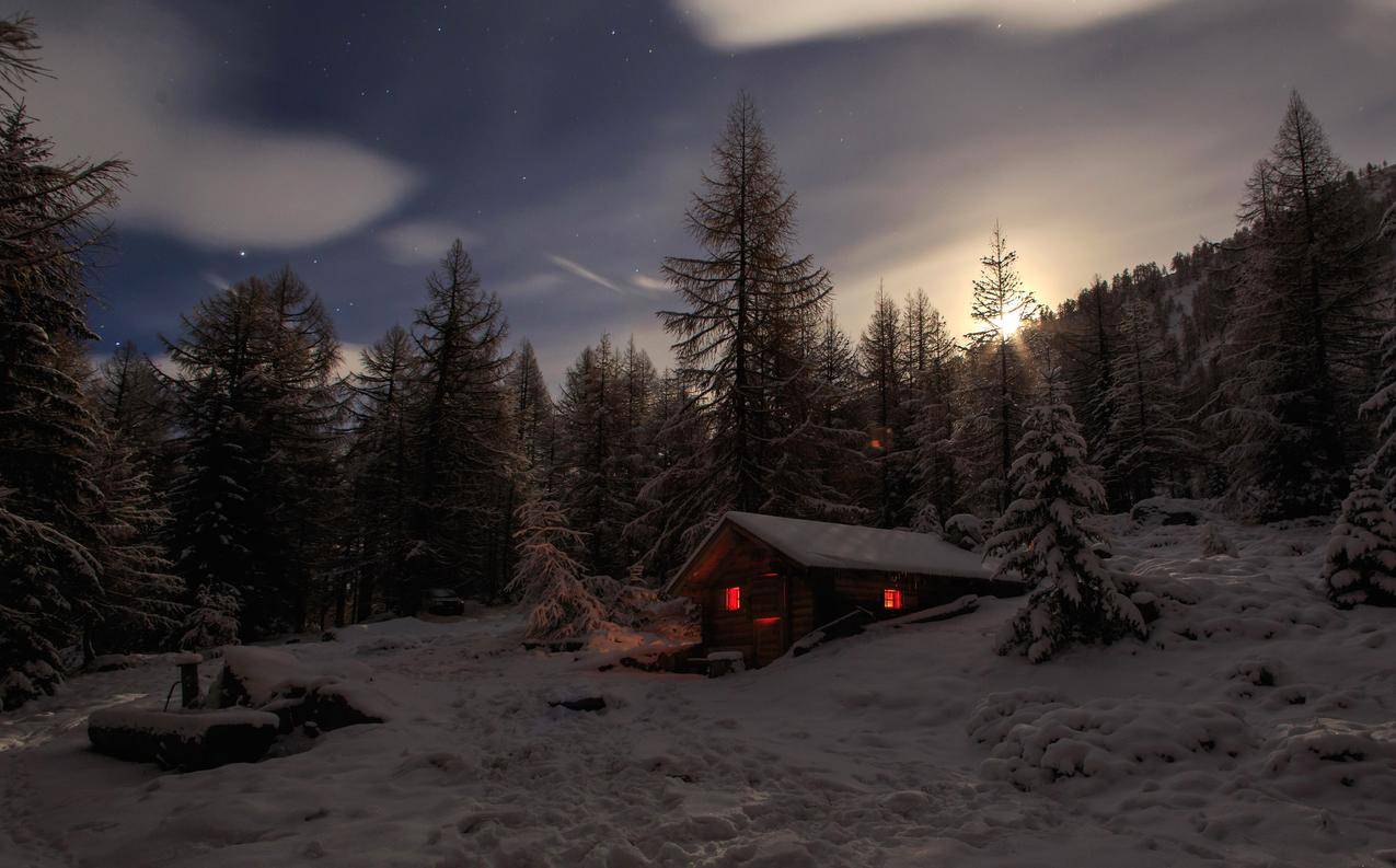 雪,小屋,树,冬天