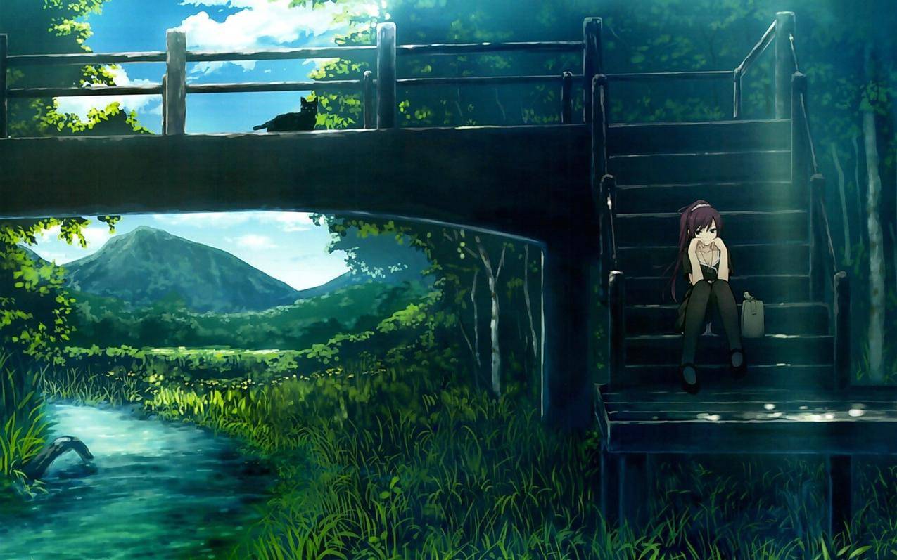 动漫,景观,SenjougaharaHitagi,MonogatariSeries,猫,动漫