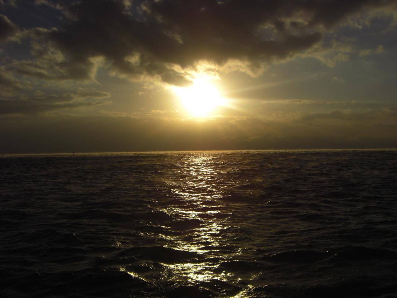 太阳,海洋,地平线,天空