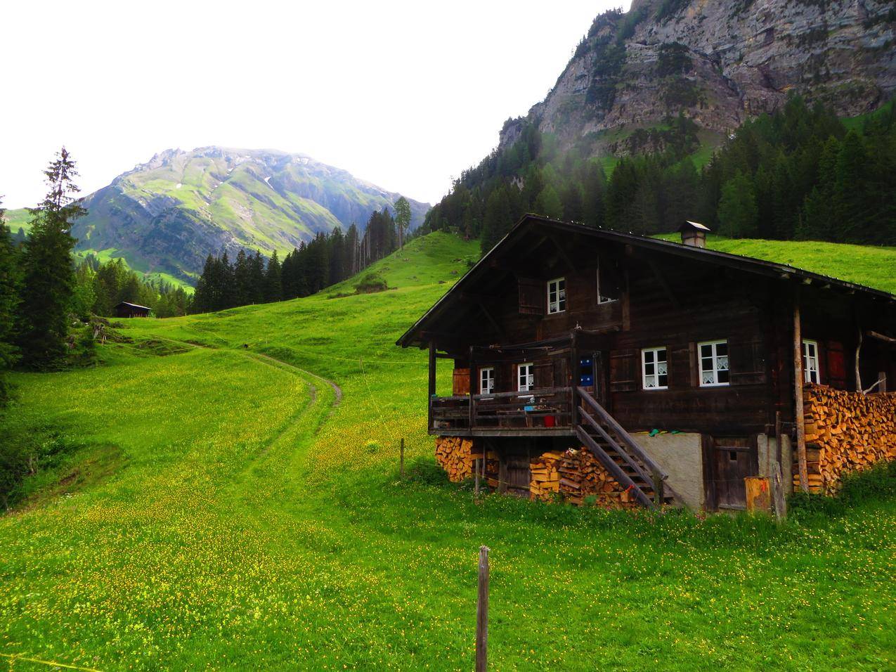 瑞士,Lenk,木屋,绿色,草地,松树,山脉,阿尔卑斯山,SwissAlps,BerneseAlps