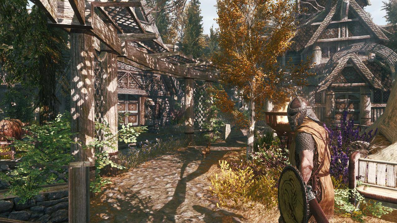 TheElderScrollsV,Skyrim,nature,town,GameMod
