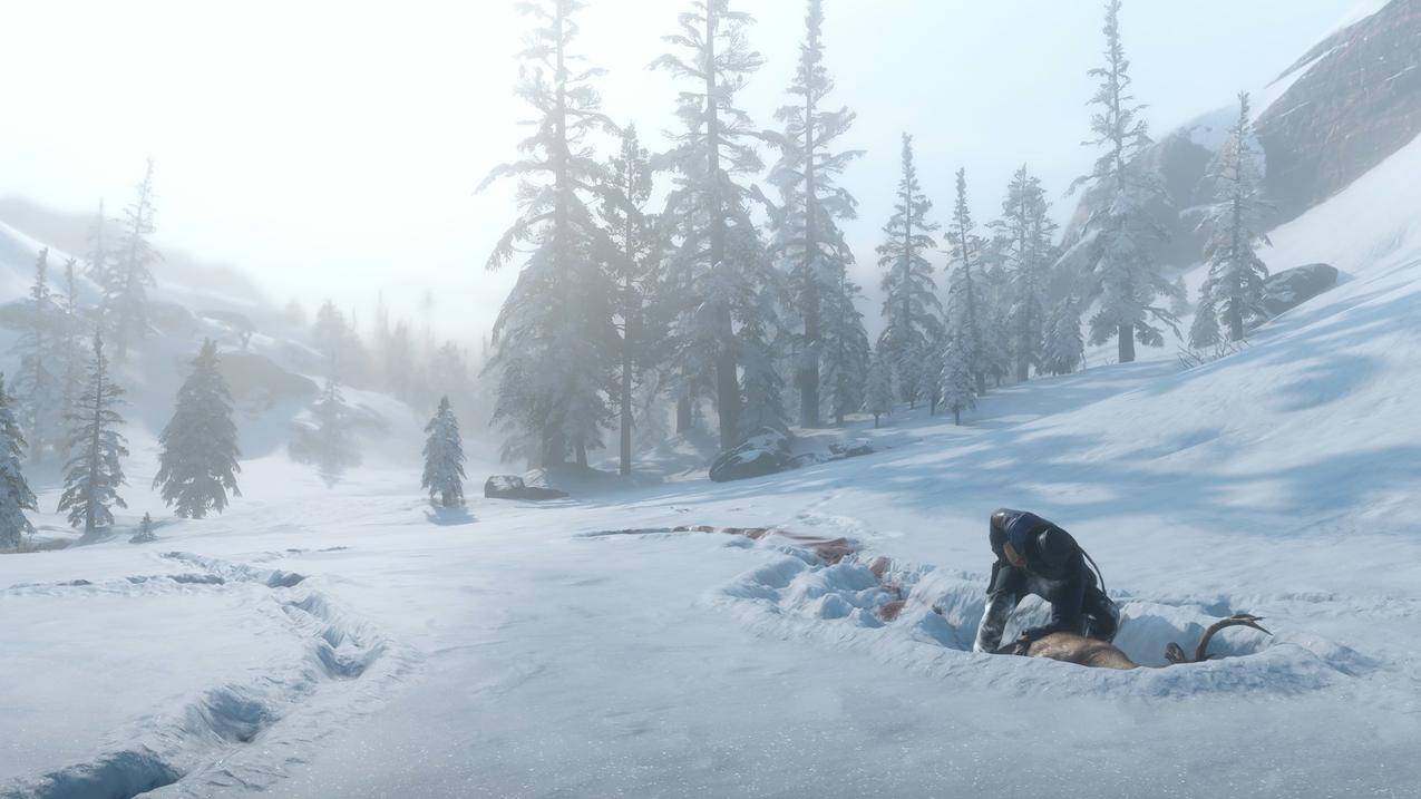 RedDeadRedemption,RockstarGames,RedDeadRedemption2,电子游戏