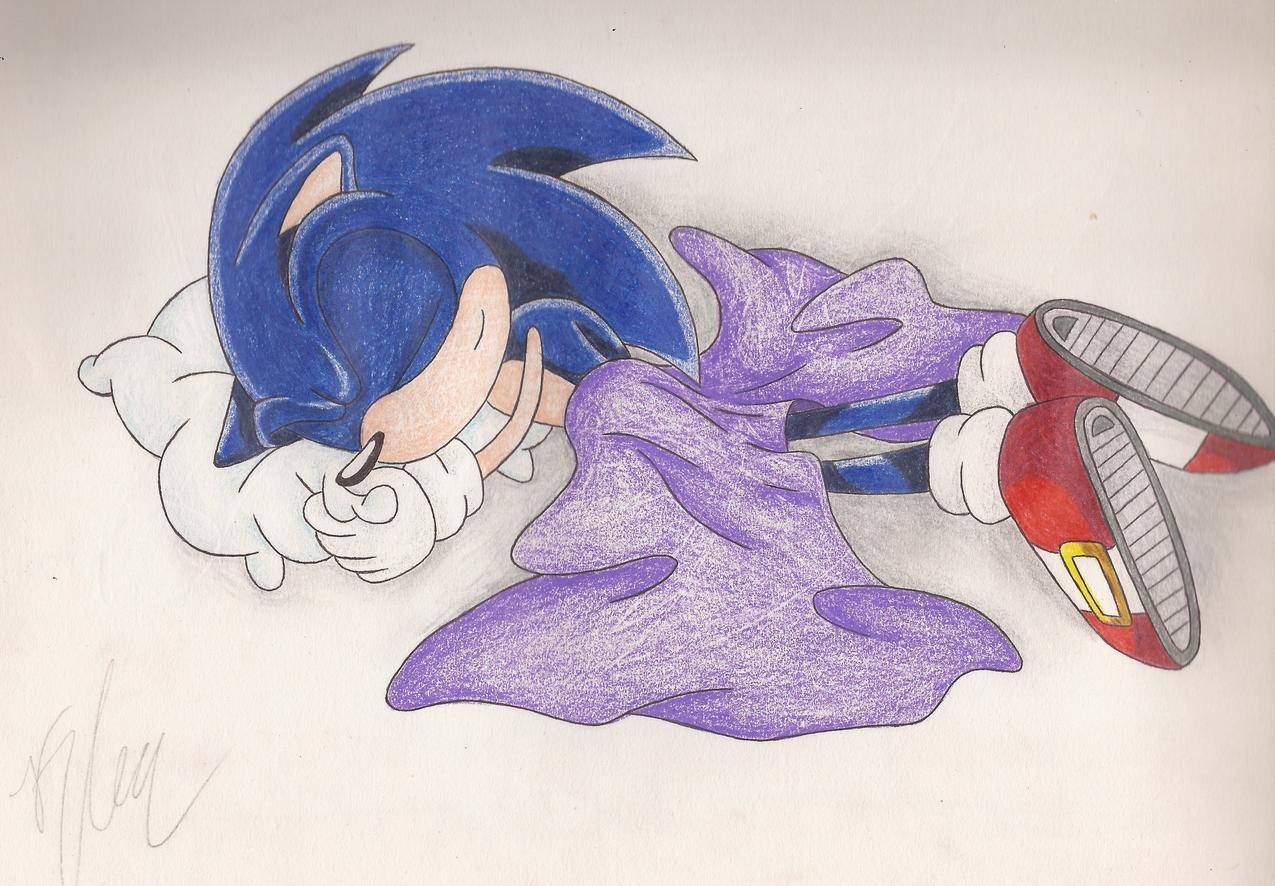 索尼克,SonictheHedgehog,睡觉