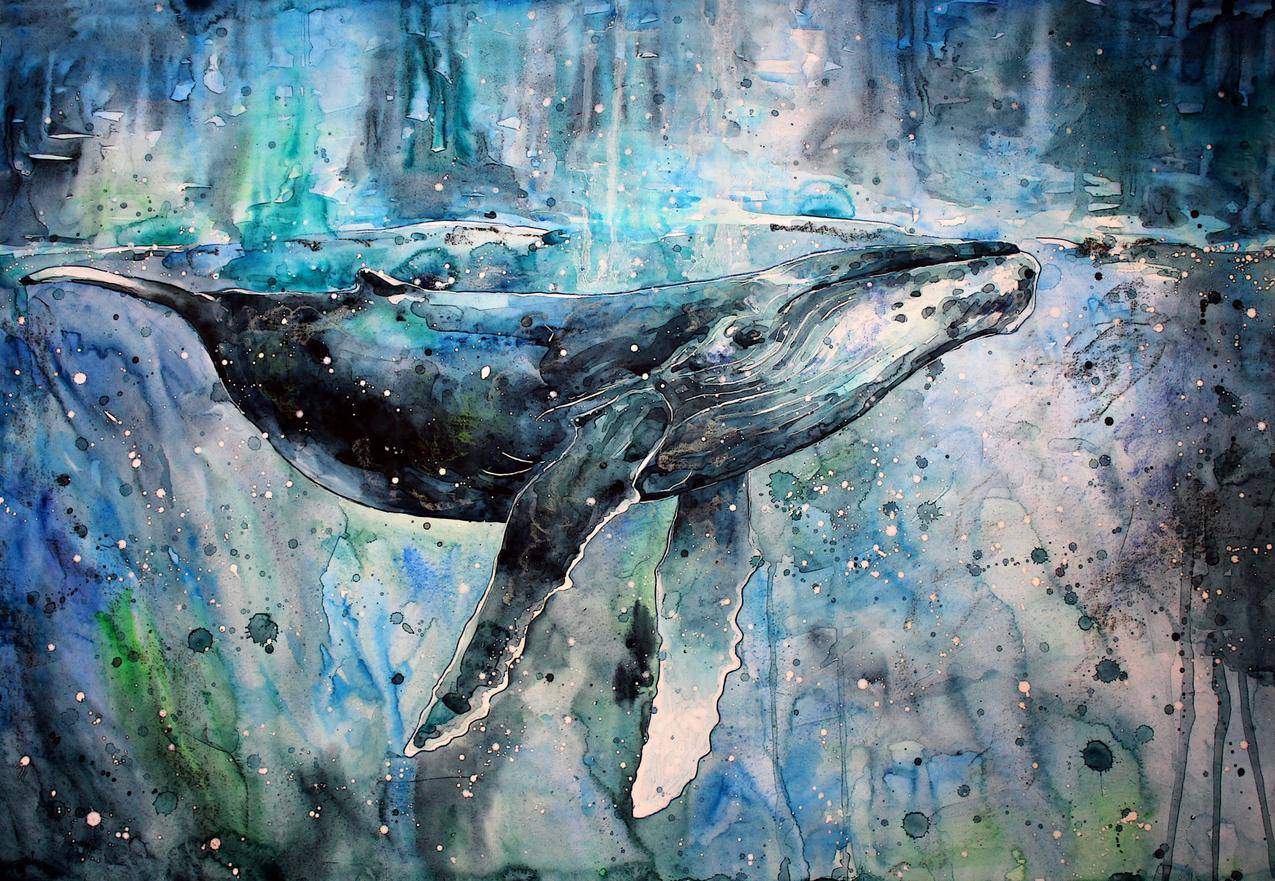 鲸鱼,艺术品,水彩画,绘画,动物,绘画