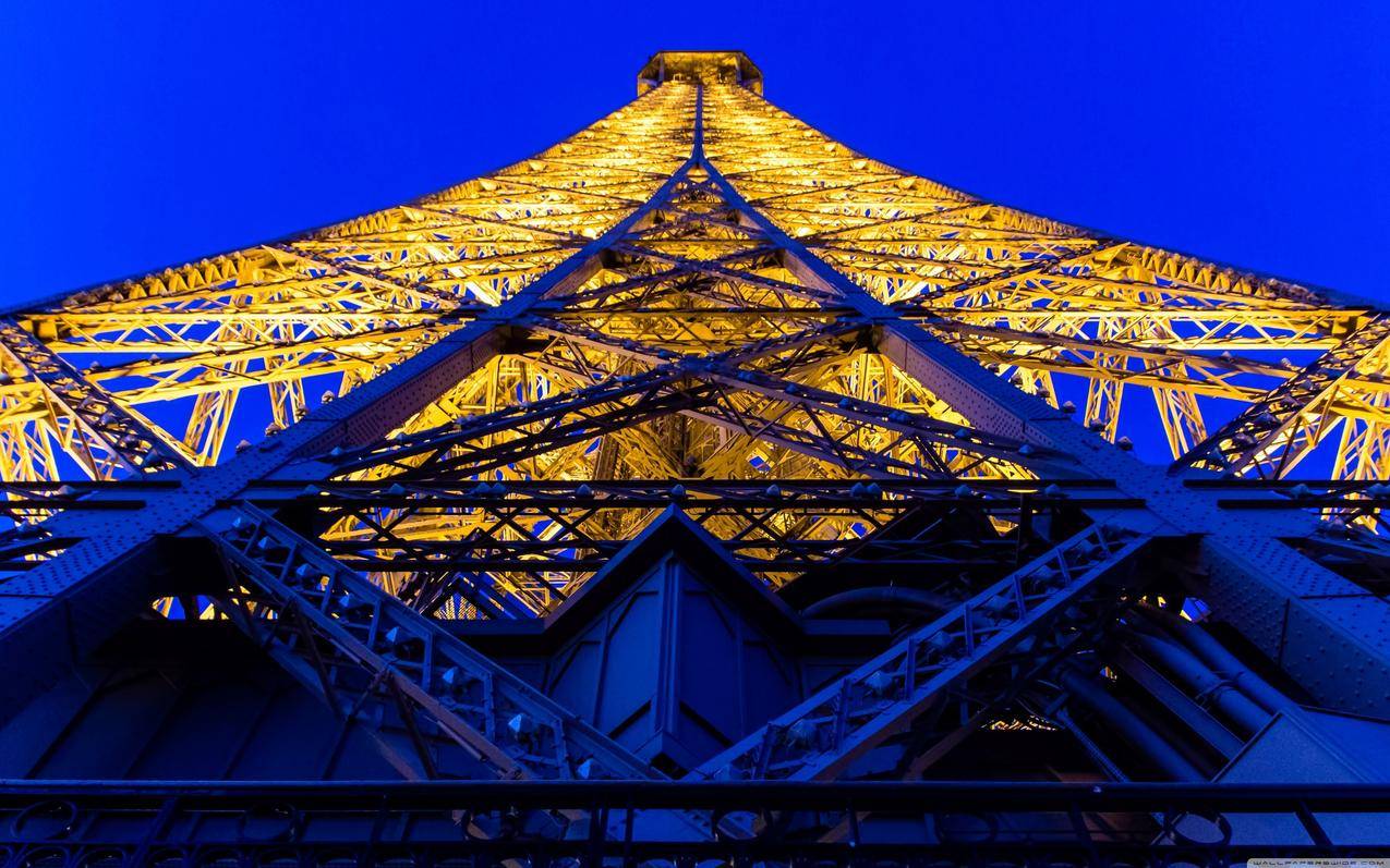 EiffelTower,建筑,灯光,虫子,巴黎