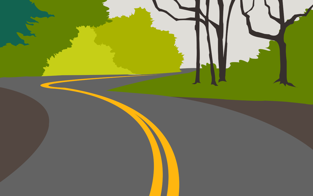 道路,森林,树木,极简主义