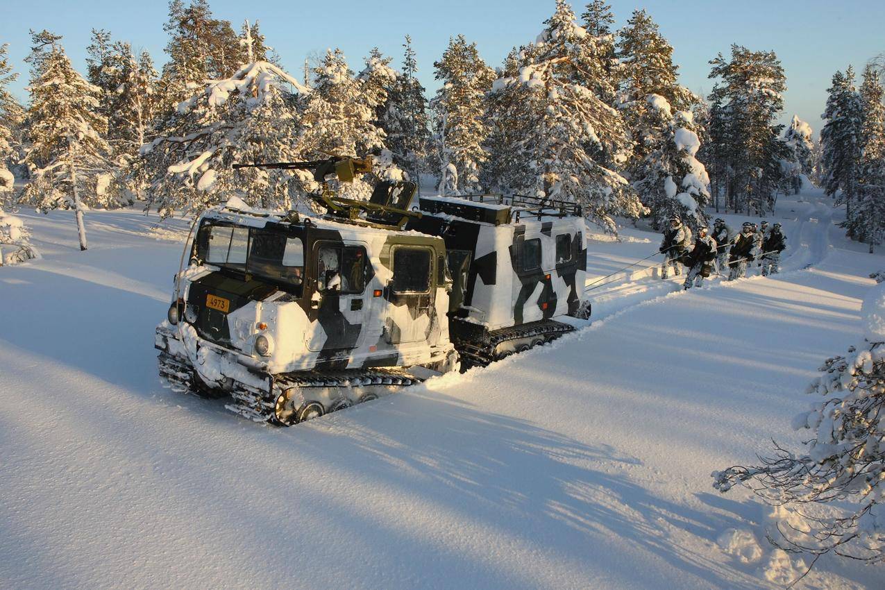 瑞典,冬天,雪