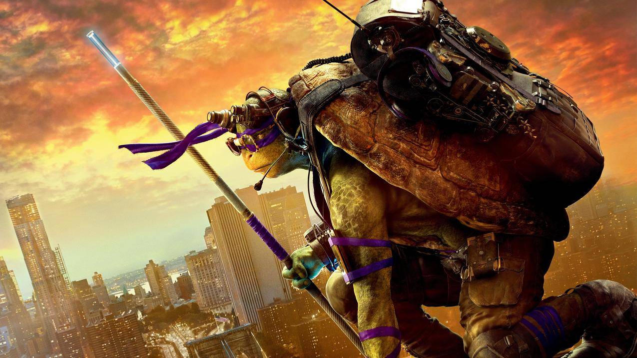 忍者,TeenageMutantNinjaTurtles,海龟