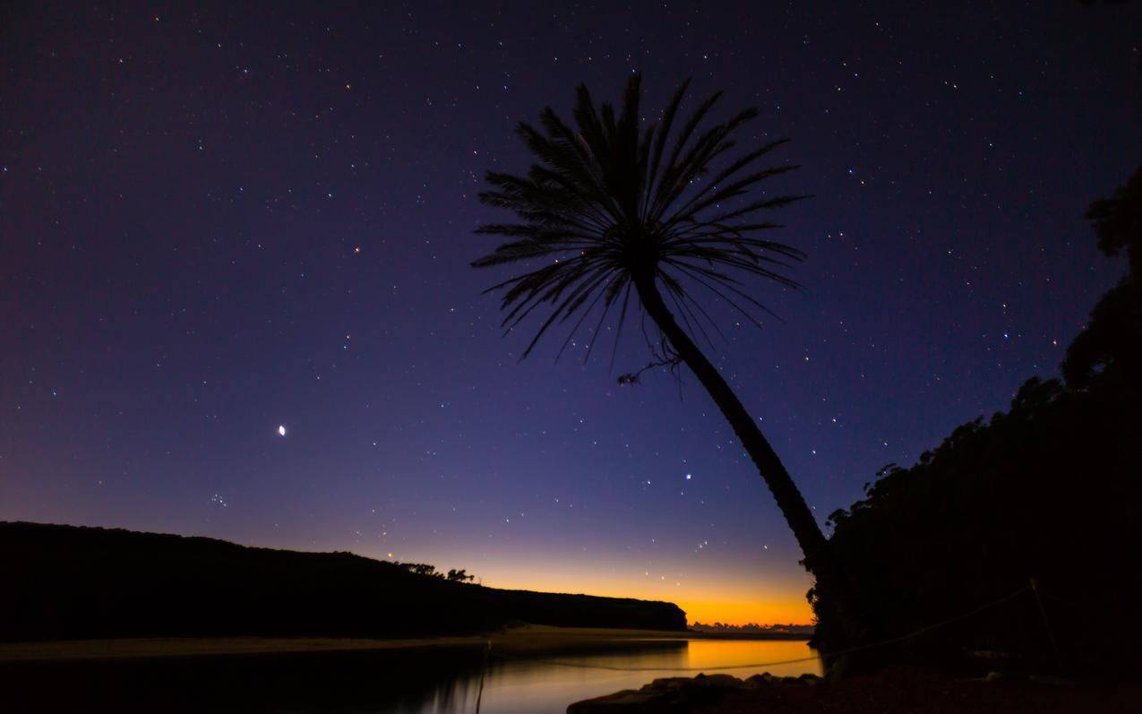 自然,棕榈树,RoyalNationalPark,河流,剪影,星星,澳大利亚